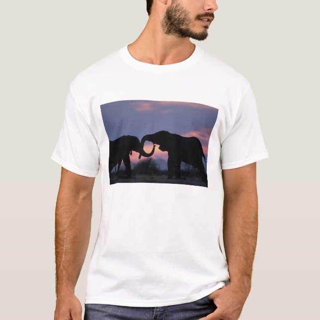 Camiseta Botswana, Parque Nacional Chobe, Elefantes (Anverso)