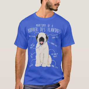 Camiseta Bouvier Des Flandres Fawn Cream Dog Anatomía