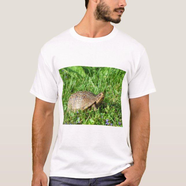 Camiseta Box Turtle (Anverso)