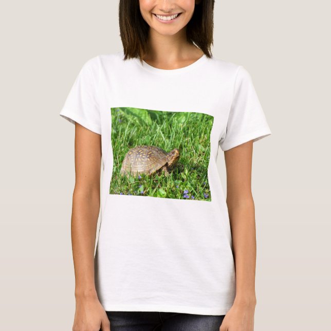 Camiseta Box Turtle (Anverso)