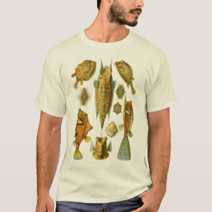 Camiseta Boxfish o Cowfish