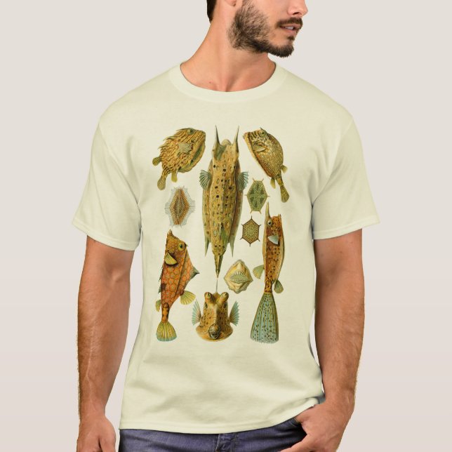 Camiseta Boxfish o Cowfish (Anverso)