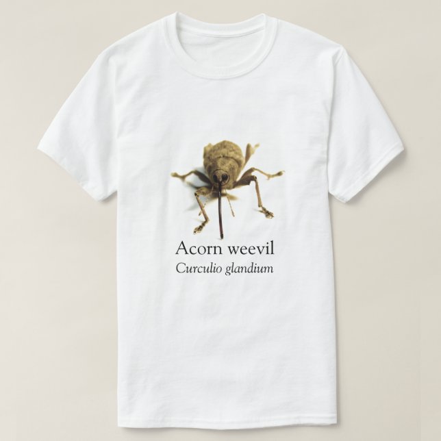 Camiseta BOYB Acorn Weevil (Diseño del anverso)