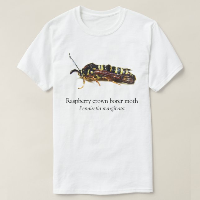 Camiseta BOYB Raspberry Crown Borer (Diseño del anverso)