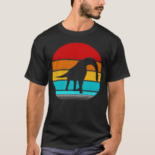 Camiseta brachiosaurio
