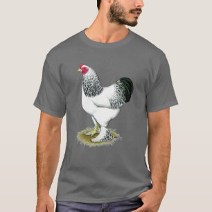 Camiseta Brahma:  Gallo ligero