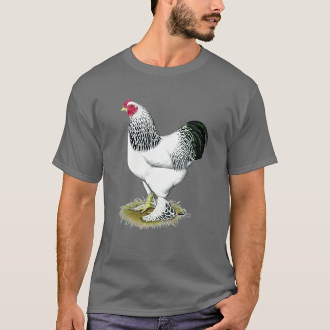 Camiseta Brahma:  Gallo ligero (Anverso)
