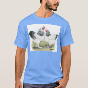 Camiseta Brahma: Luz2