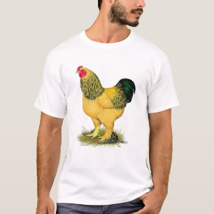 Camiseta Brahma: Rooster de Buff