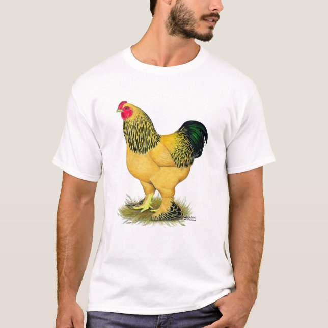 Camiseta Brahma: Rooster de Buff (Anverso)