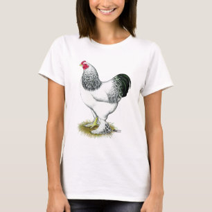 Camiseta Brahma: Rooster ligero