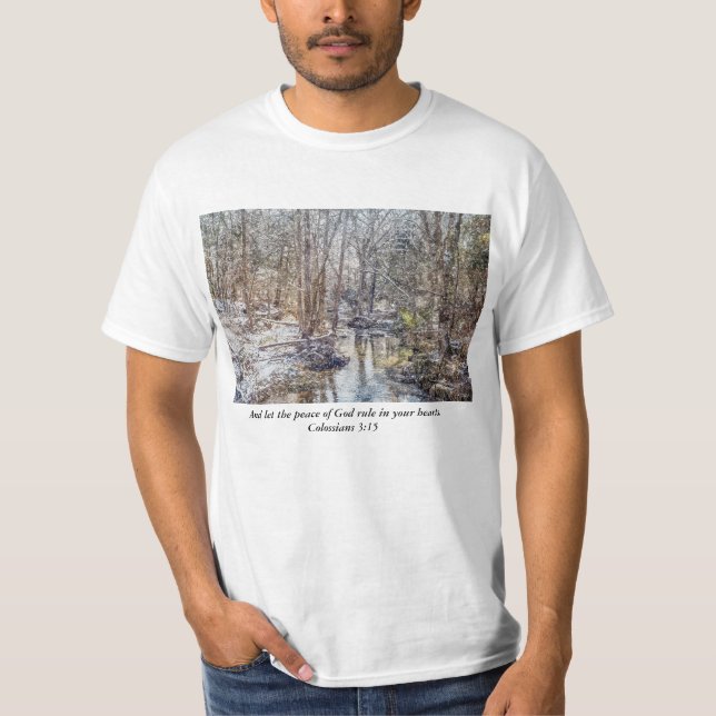 Camiseta Branson Fall Creek Winter Snow Painterly (Anverso)