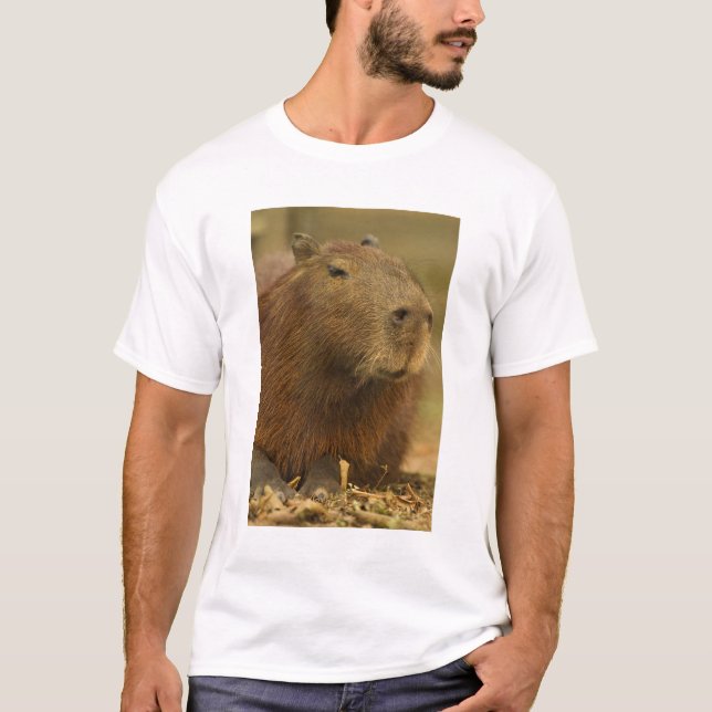 Camiseta Brasil, Pantanal, Matto Grosso. Capibara (Anverso)