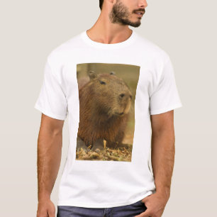 Camiseta Brasil, Pantanal, Matto Grosso. Carpincho