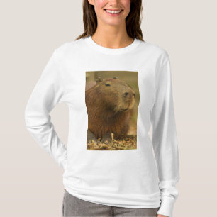 Camiseta Brasil, Pantanal, Matto Grosso. Carpincho