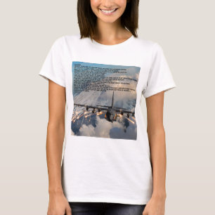 Camiseta Bravo vuelo Angel