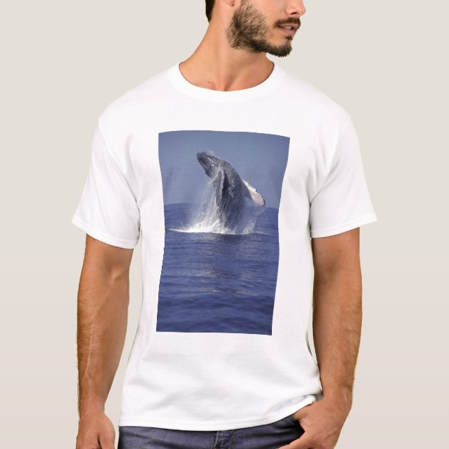 Camiseta Brecha de ballena jorobada (Megaptera) (Anverso)