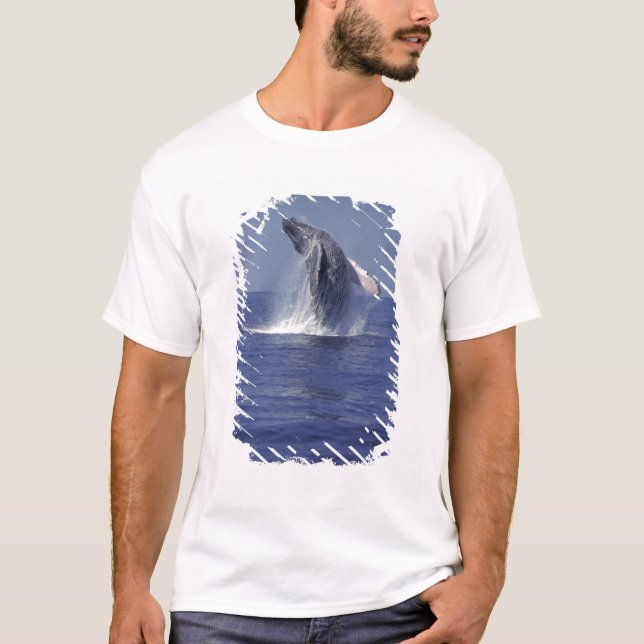 Camiseta Brecha de ballena jorobada (Megaptera) (Anverso)