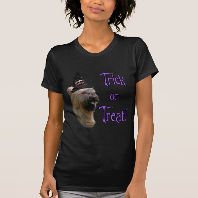 Camiseta Briard Trick (Anverso)