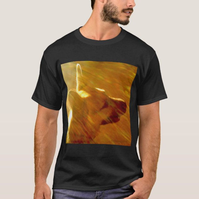 Camiseta Brilla Sobre Mí Pastor Alemán Negro & Tan (Anverso)