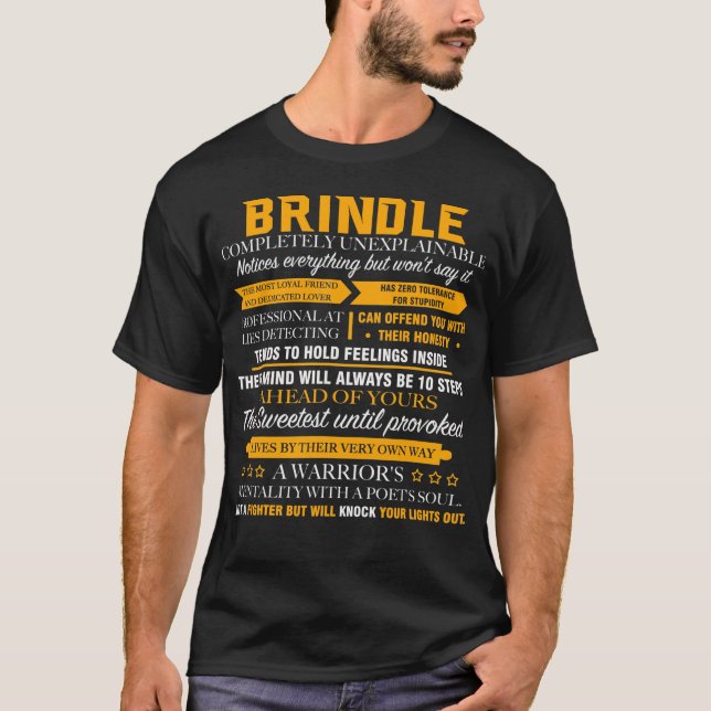 Camiseta BRINDLE completamente inexplicable (Anverso)