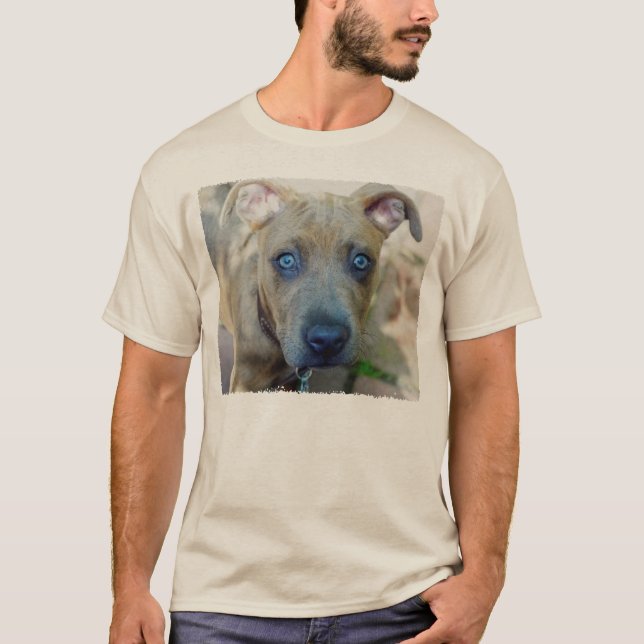 Camiseta Brindle Pit Bull con una foto de Shirley Taylor (Anverso)
