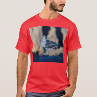 Camiseta Bristlethighed Curlew