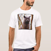Camiseta británica del gato azul