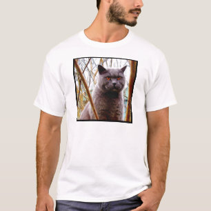 Camiseta británica del gato azul