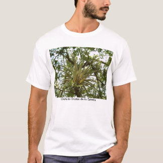 Camiseta Bromeliad fuera del la Estrella de Grutas de