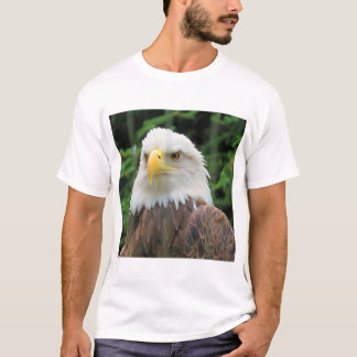 Camiseta Bronx Zoo Eagle