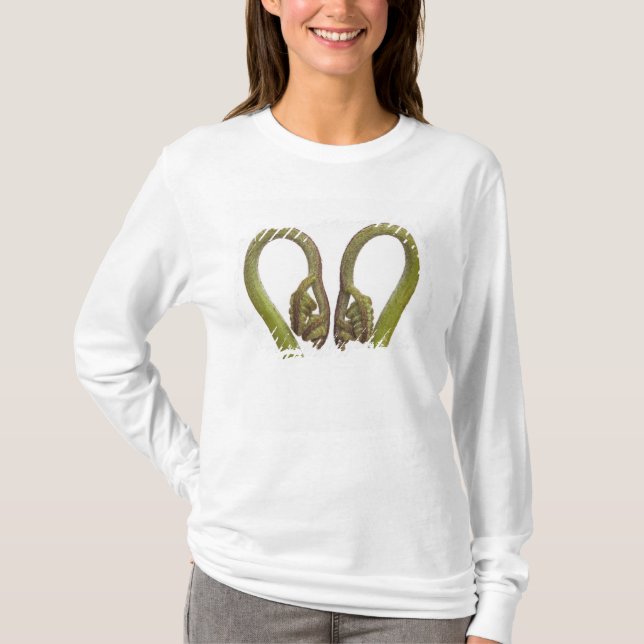 Camiseta Brotes 2 del helecho (Anverso)