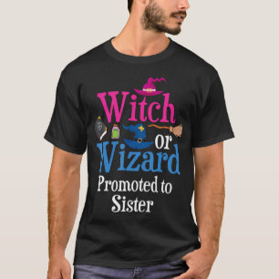 Camiseta Bruja O Asistente Promovido Para Hermanas Amadas Q
