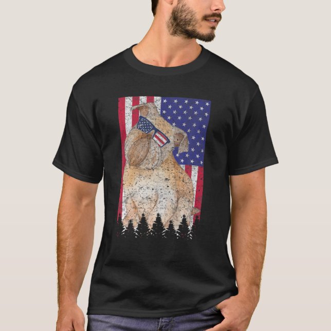 Camiseta Bruselas Griffon Patriótico Dog USA Orgullo americ (Anverso)