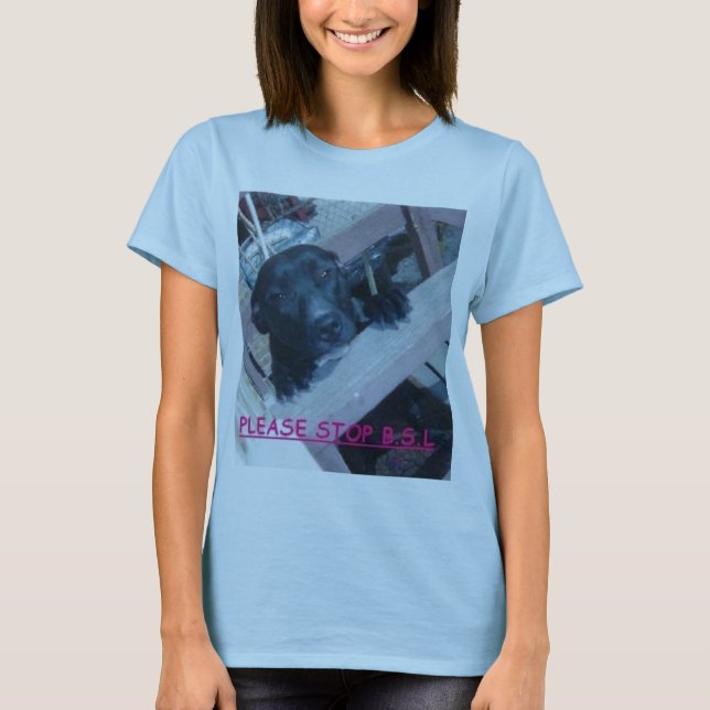 CAMISETA BSL ANTI (Anverso)