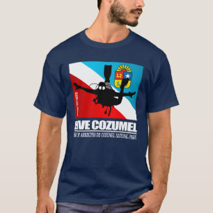Camiseta Bucear Cozumel DF2