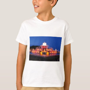 Camiseta Buckingham Fountain 02.JPG