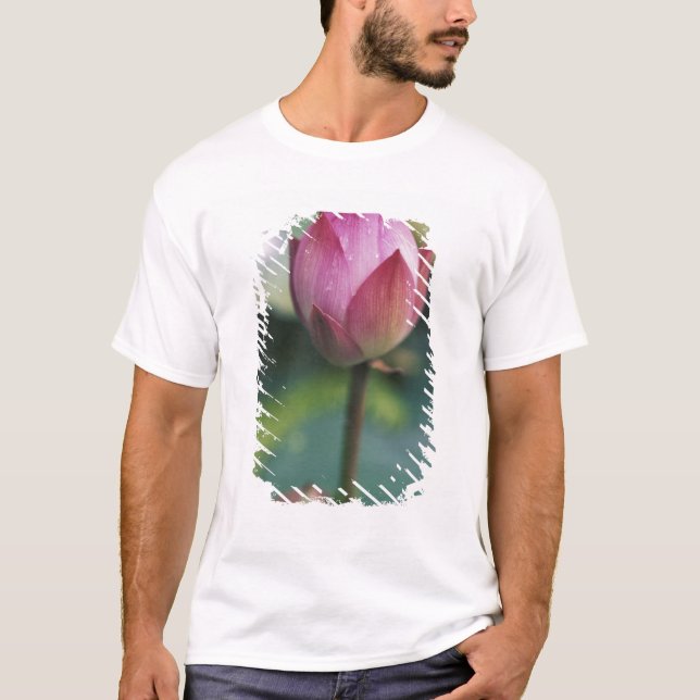 Camiseta Bud de flores de Lotus, Hangzhou, provincia de Zhe (Anverso)