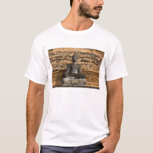 Camiseta Buda en Wat Mahathat.
