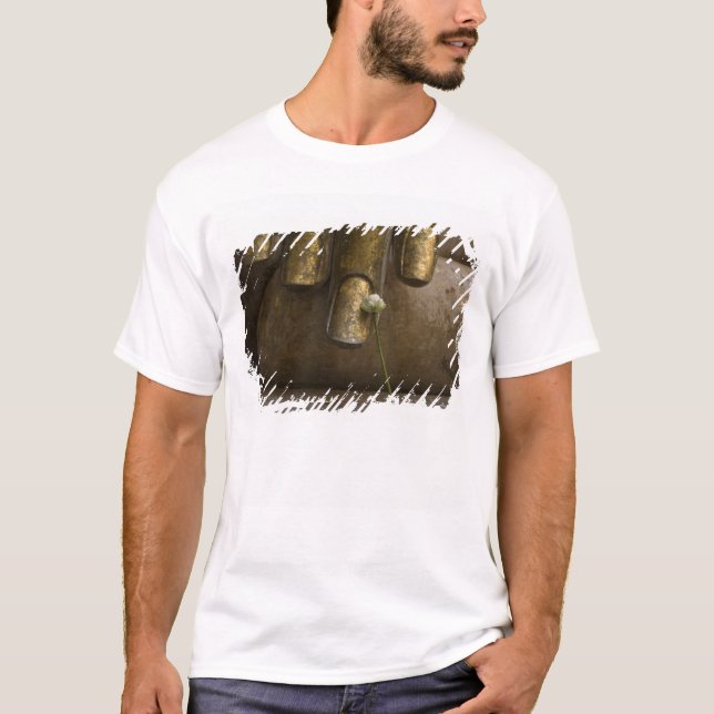 Camiseta Buda en Wat Si Chum. (Anverso)