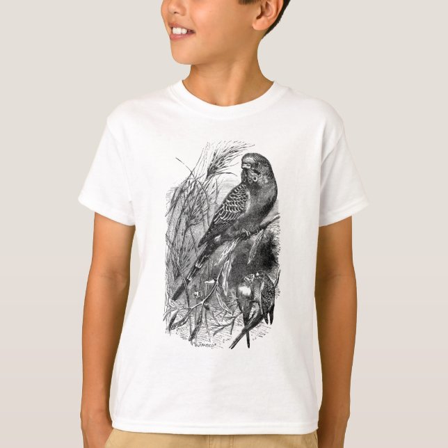 Camiseta Budgerigar (budgie, parakeet) (Anverso)