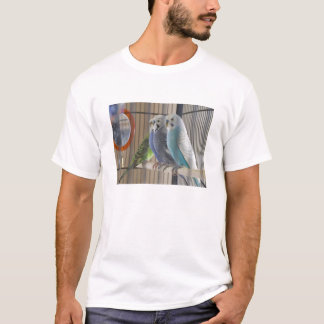 Camiseta Budgies6