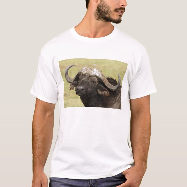 Camiseta Búfalo africano, Syncerus caffer (Anverso)
