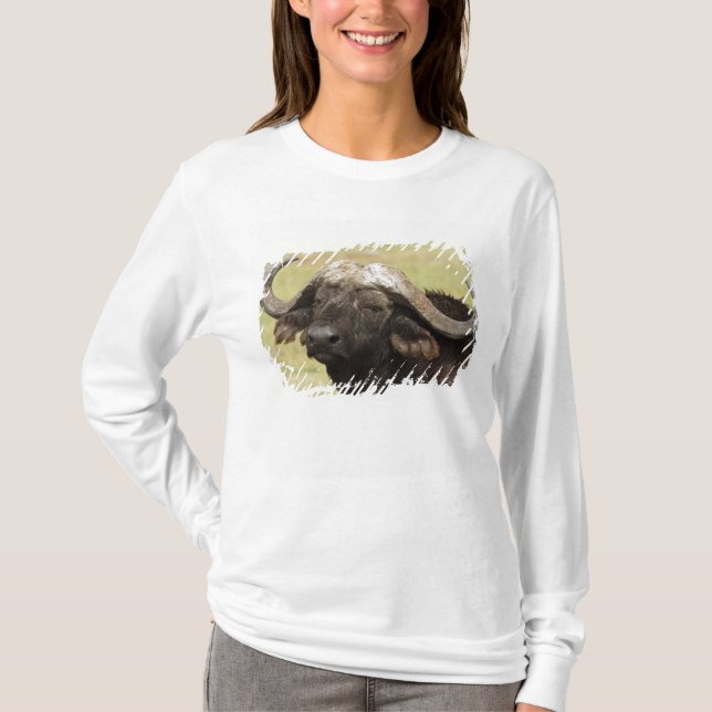 Camiseta Búfalo africano, Syncerus caffer (Anverso)