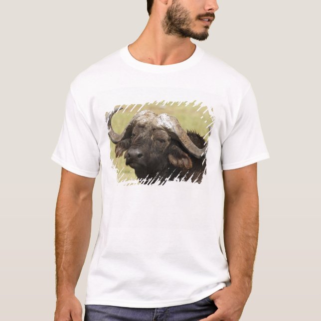 Camiseta Búfalo africano, Syncerus caffer (Anverso)