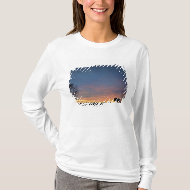 Camiseta Búfalo en la puesta del sol en parque nacional de (Anverso)