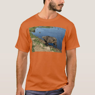 Camiseta Búfalos y campos de arroz auténticos de Vietnam