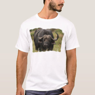Camiseta buffalo-15.jpg