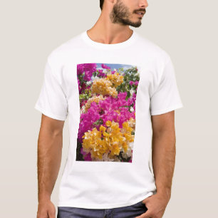 Camiseta Buganvilla, Cayman Brac, Islas Caimán,