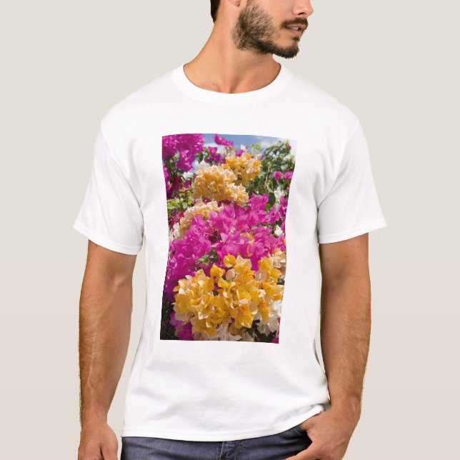 Camiseta Buganvilla, Cayman Brac, Islas Caimán, (Anverso)